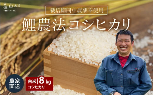 ＜令和６年産新米＞鯉農法 コシヒカリ（白米）８kg