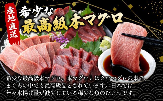【数量限定】石垣島産 天然本マグロ 600g (まぐろ赤身・中トロ・大トロのミックスセット) ヤエスイ マグロ船直送 ＜2025年6月下旬より発送＞ | 産地直送 大トロ 大とろ 中トロ 中とろ 国産