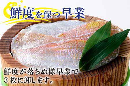 小鯛ささ漬 中樽 130g×2樽   計260g [A-001057]