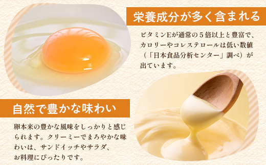 こっこの陽なたマヨ 170g×2個｜平飼いたまご使用・無添加風マヨネーズ｜安心・安全 調味料 サラダ・ポテトサラダ・ディップ・ドレッシングに