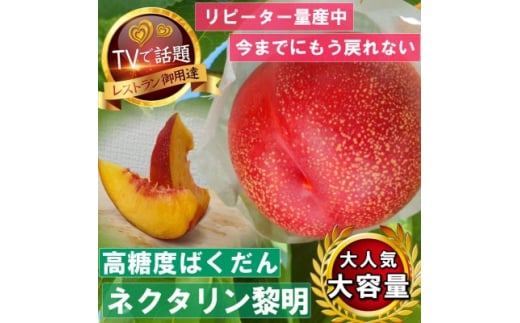《高糖度ばくだんネクタリン黎明》桃グランプリ日本一受賞&4年連続TV出演で話題2025年7月中旬発送【1465189】