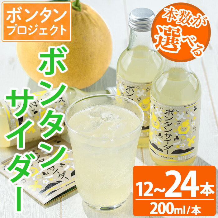 【ふるさと納税】＜本数が選べる！＞ボンタンサイダー！(12本〜24本、200ml/本) ぼんたん ボンタン 文旦 サイダー ジュース 飲み物 飲料 果汁 フルーツ 果物 炭酸【ボンタンプロジェクト】