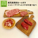 【ふるさと納税】黒毛和牛 シャトーブリアン イチボ 食べ比べ ステーキ 黒豚生ハム 付 生ハム 肉 お肉 牛肉 国産 鹿児島県産 和牛 食品 食べ物 鹿児島県 南九州市 お取り寄せ お取り寄せグルメ 送料無料