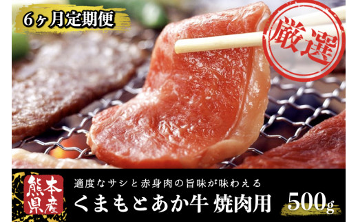 
【6ヶ月定期便】ＧＩ認証取得 くまもとあか牛（焼肉用500g）
