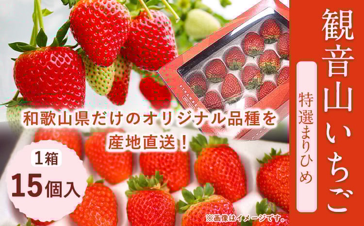 
            【先行予約】和歌山県産 観音山いちご（特選まりひめ）15玉 有限会社柑香園 《2026年1月末-3月上旬頃出荷》 和歌山県 紀の川市 苺 フルーツ 果物
          