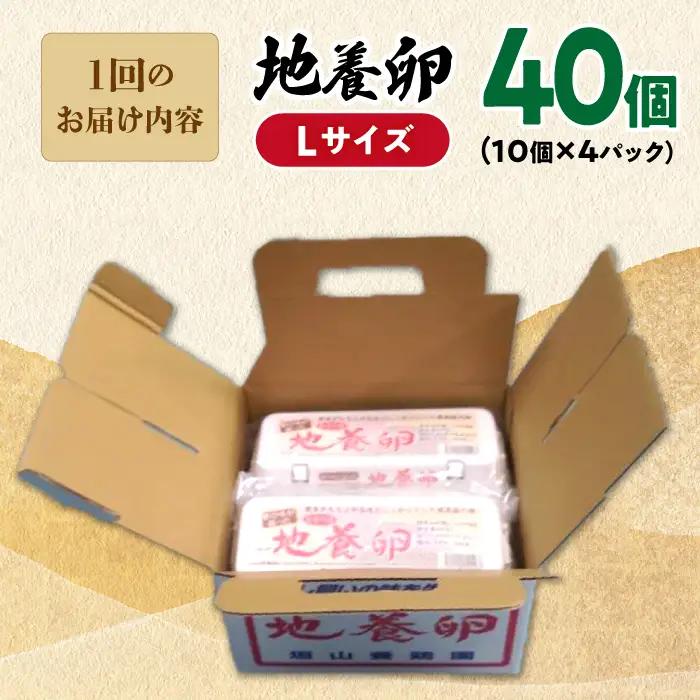 12回定期便 卵 Lサイズ 40個 | CBB004 卵