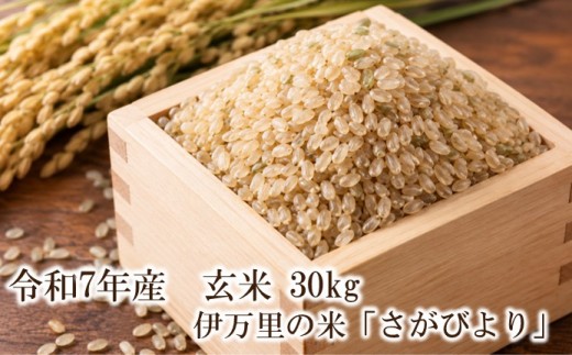 
                  令和7年産 伊万里の米「さがびより」玄米 30kg 003-B1110
                