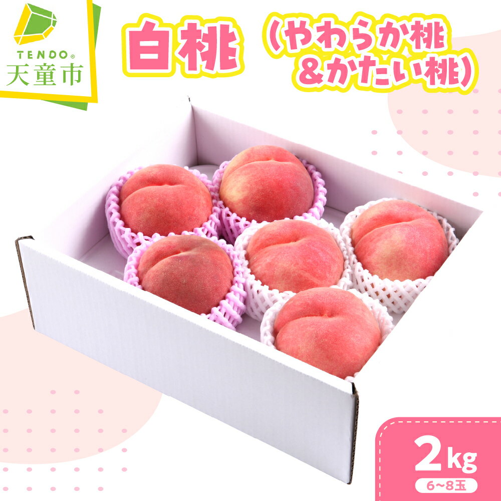 【ふるさと納税】 やわらか 桃 ＆ かたい 桃 セット ( 白桃 ) 2kg 令和8年産 先行予約 2026年 もも モモ 果物 くだもの フルーツ 山形 お取り寄せ 産地直送 送料無料【 山形県 天童市 】