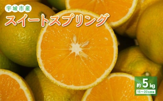 
            先行予約 宇城市産 スイートスプリング 約5kg 【のむちゃん農園】【2025年11月下旬-2026年2月下旬発送予定】スイートスプリング みかん 柑橘 果物 フルーツ 熊本県 
          