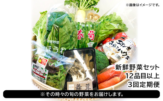 ※その時々の旬の野菜をお届けします。
