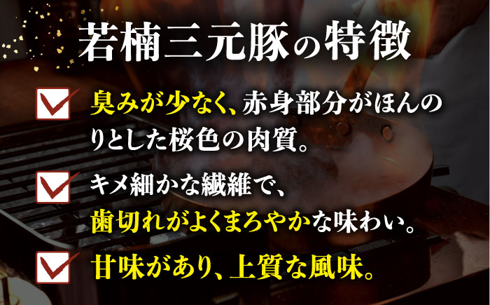 【3回定期便】肉汁たっぷり 若楠三元豚ハンバーグ 150g×8個 /ナチュラルフーズ [UBH056]