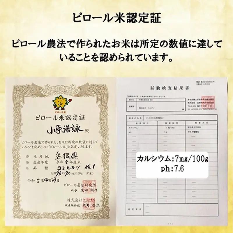 新米 先行受付 令和8年産 人生100年米（ピロール米） 5kg 【 新米予約 先行予約 2026年産 ピロール米 コシヒカリ 白米 化学肥料不使用 農薬不使用 美味しい お米 島根県産 ミネラル ビ