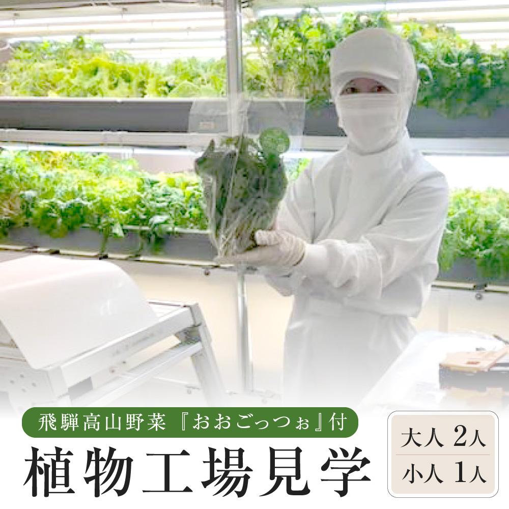 【ふるさと納税】飛騨高山野菜『おおごっつぉ』付植物工場見学（大人2人、小人1人）| 工場見学 体験学習 長期連休 グリーンリーフ 園芸 チケット 旅行 飛騨高山 株式会社FDS HS005 | 見学 体験 工場見学 野菜 やさい 食品 人気 おすすめ 送料無料
