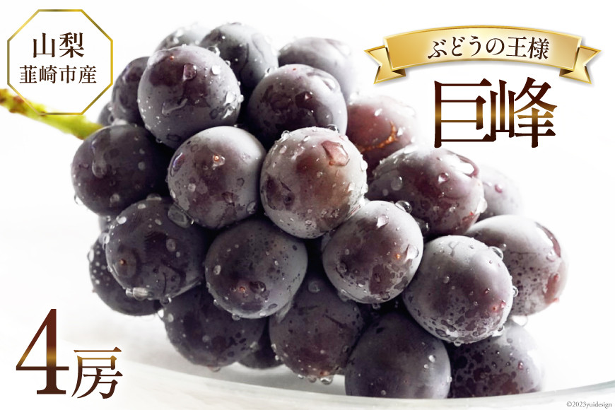 
            【2026年発送】ぶどう 先行受付 巨峰 約 450g 4房 計約 1.8kg 前後 山梨 やまなし 韮崎市産 フルーツ 果物 ブドウ 葡萄 山梨県産 産地直送 期間限定 季節限定 冷蔵 [Inakakara 山梨県 韮崎市 20745261]
          