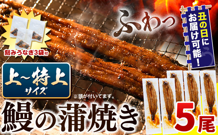 
            うなぎ 国産 鰻の蒲焼 5尾 ＋ きざみうなぎ 30g×3袋 上～特上サイズ《選べる出荷時期)》| うなぎ 蒲焼 国産 うなぎ 小分け うなぎ 国産 うなぎ 父の日 うなぎ 母の日ギフト うなぎ 簡易包装 送料無料 徳島県 上板町
          