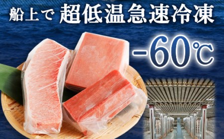 厳選 天然 本マグロ セット【 大トロ 中トロ 赤身 】６００ｇ以上 本まぐろ 100% 冷凍 刺身 海鮮 丼 さく 柵 ブロック _ge006