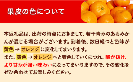 訳あり早生みかん 5kg みかん 訳あり