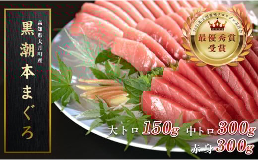 マグロ まぐろ 本マグロ 刺身 赤身 中トロ 大トロ 3種 750g 養殖 本まぐろ さしみ 刺し身 ネギトロ ねぎとろ 漬け丼 海鮮丼 まぐろたたき 海鮮セット 柵 年末 年始 正月 高知県 大月町