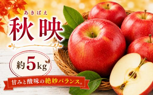 【2026年先行予約】信州塩尻産 秋映 約5kg | 先行受付 果物 くだもの フルーツ 秋映 あきばえ りんご りんご3兄弟 林檎 信州 長野県 塩尻市
