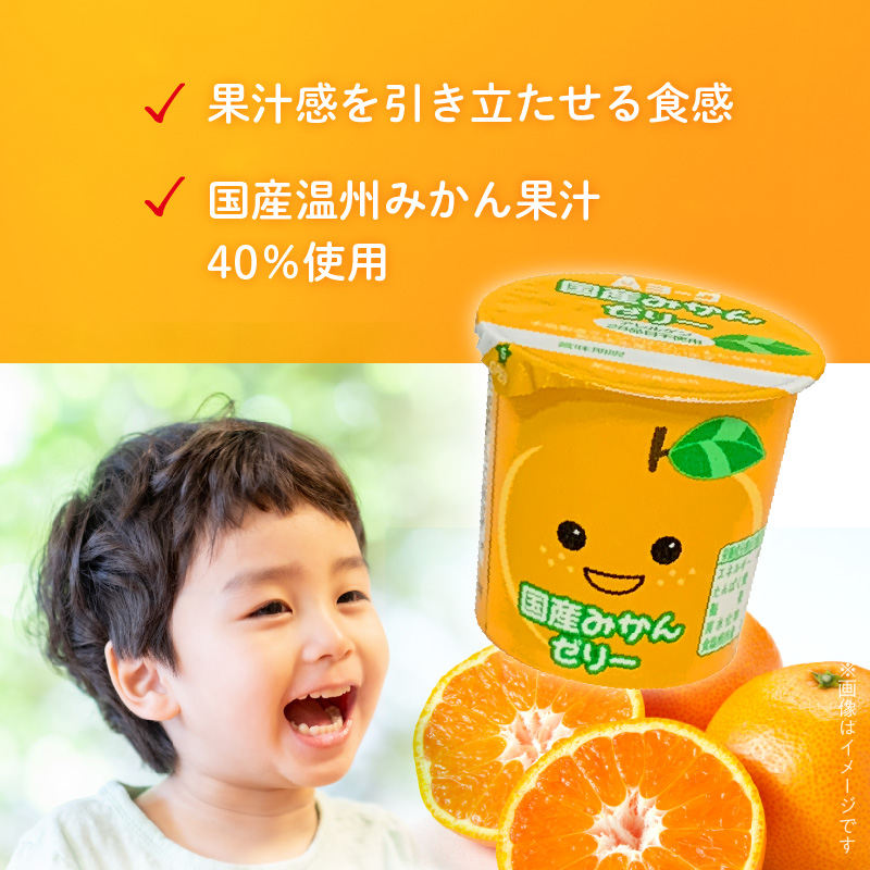 愛知ヨーク　国産みかんゼリー・国産ももゼリー　20個入