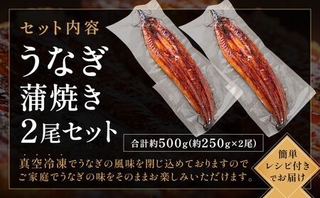 うなぎ蒲焼き1尾セット(約250g×1尾セット)【魚住商店】_HA1963 うなぎ 鰻 蒲焼 真空パック 福岡県宗像市 宗像市 福岡 宗像