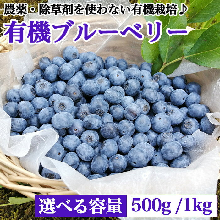 【ふるさと納税】令和8年産 先行予約 有機栽培 ブルーベリー 選べる 内容量 500g 1kg 農薬不使用 オーガニック 新潟 果物 フルーツ 季節限定 新潟県産 有機ブルーベリー（傳九郎農園）