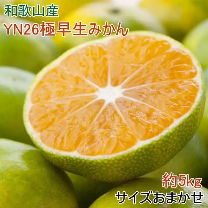 ［産直］YN26極早生みかん約5kg（2S～Mサイズおまかせ）★2026年9月中旬頃より順次発送［TM13］