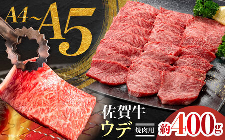 佐賀牛 ウデ焼肉用 約400g 【JAさが 杵島支所】[HAM096]