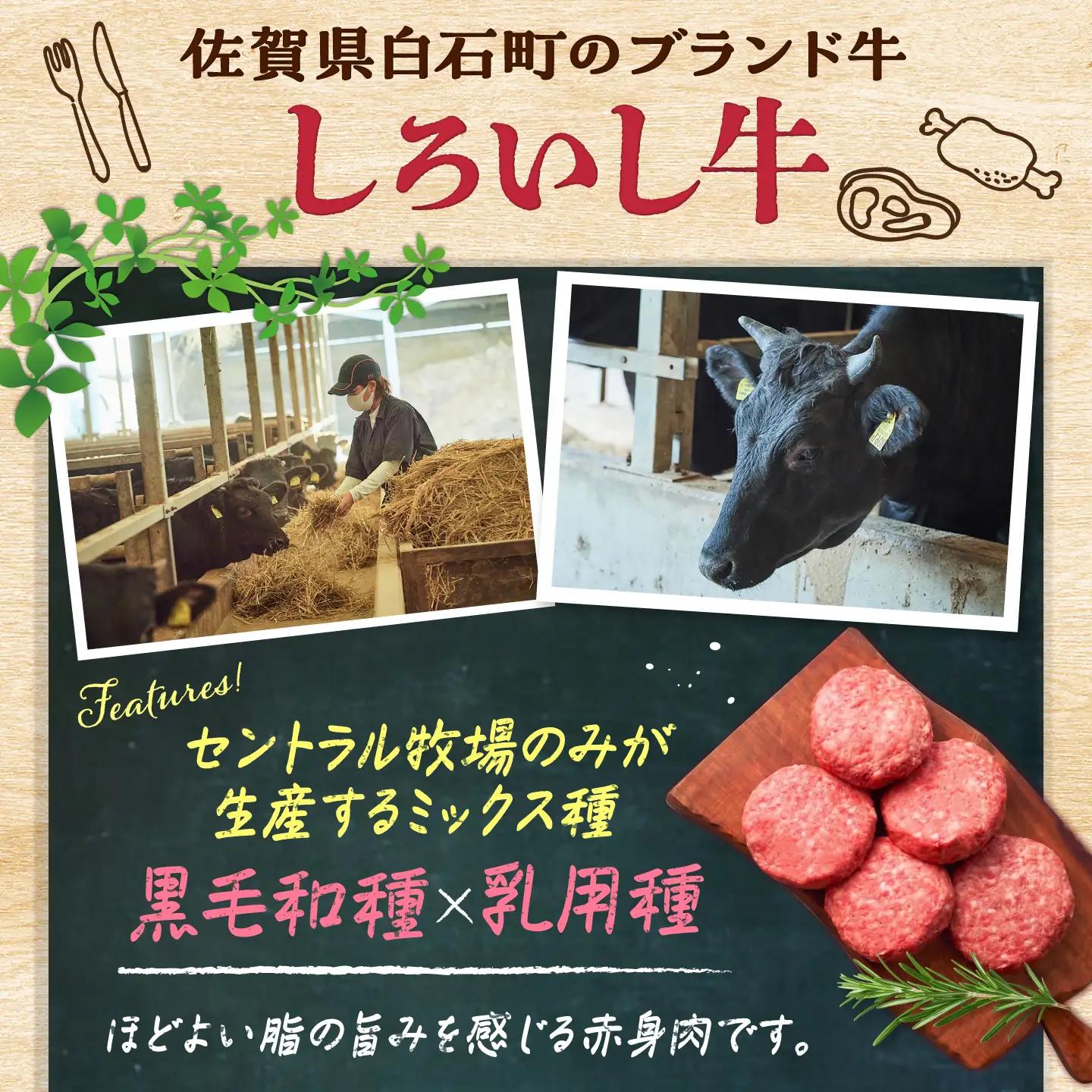 佐賀県産 しろいし牛 手ごねハンバーグ 5個(1個120g) / 牧場直送 国産 牛肉 ハンバーグ おかず / 佐賀県 / 有限会社佐賀セントラル牧場[41ASAA323]