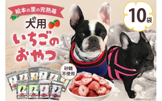ペットフード 犬用のいちごのおやつ  ドライ苺 15g 10袋 [アグリプロダクト笠井 北海道 剣淵町 14656418] ドックフード ドッグフード ペット 犬用 おやつ 餌 えさ エサ いちご 苺 イチゴ ドライフルーツ 乾燥 ふるさと納税