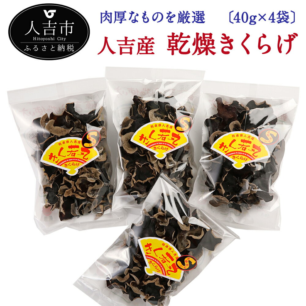 【ふるさと納税】熊本県人吉産 せんい生活の乾燥きくらげ 肉厚厳選 約40g×4袋 人吉産 九州産 木耳 希少 国産きくらげ きのこ 送料無料