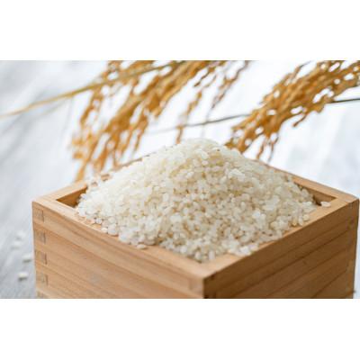 ふるさと納税 村上市 【令和7年産米】新潟県岩船産　夢ごこち 精米 白米 5kg　A4198 |  | 02
