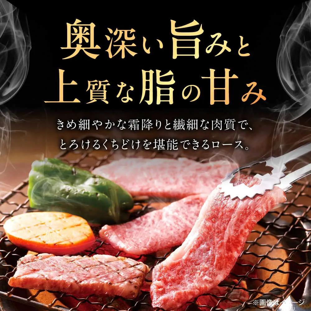 【3回定期便】佐賀牛 ロース 焼肉用 500g /MKミート武雄[UEM055] 焼肉