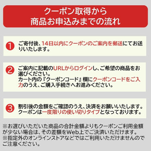 アイリスオーヤマのお品で使える 割引クーポン 30,000円分