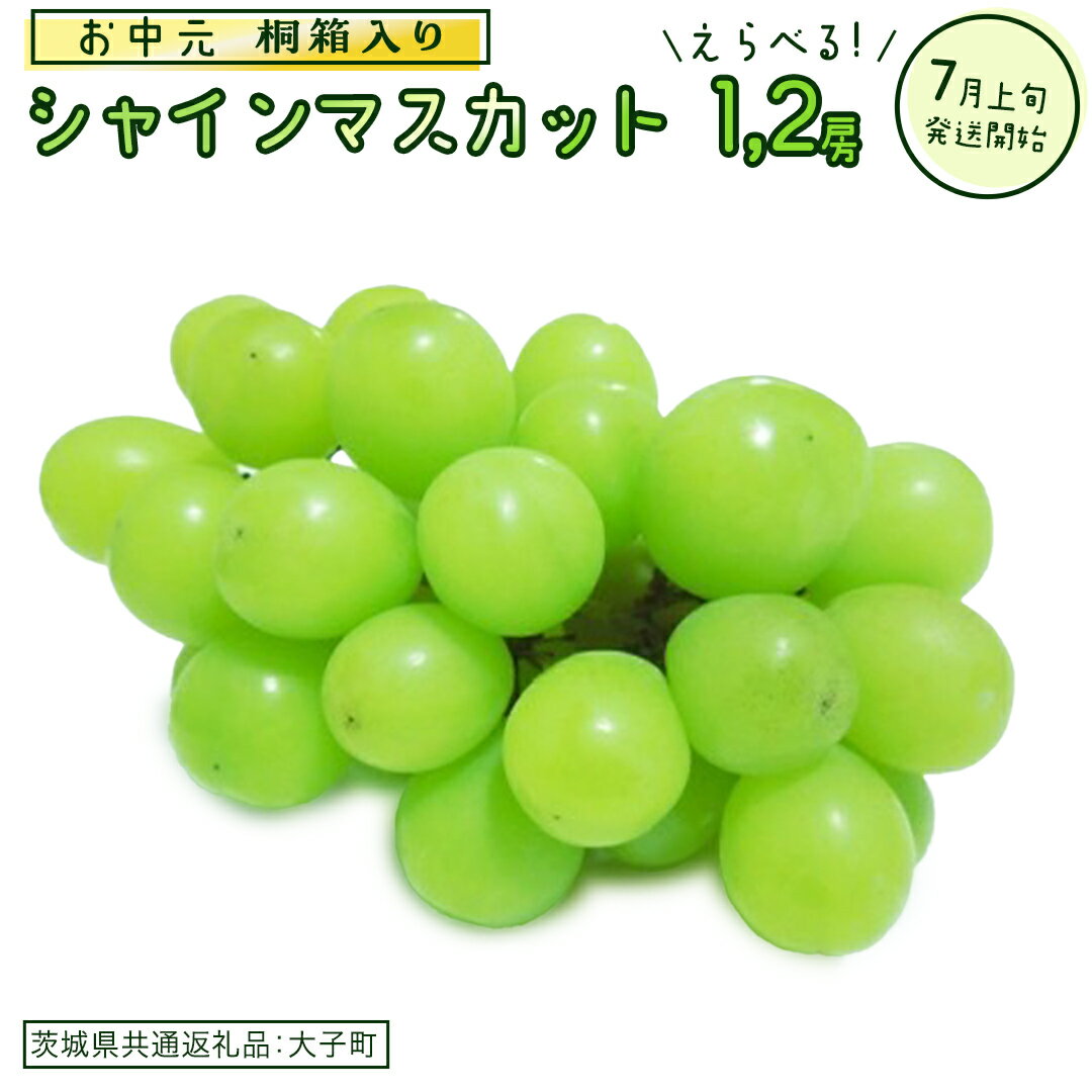 【ふるさと納税】【選べる房数】《 お中元 桐箱入り》 シャインマスカット 1房 2房 【2026年7月上旬発送開始】(茨城県共通返礼品：大子町) ぶどう 葡萄 マスカット フルーツ 果物 贈答用 ギフト 贈り物