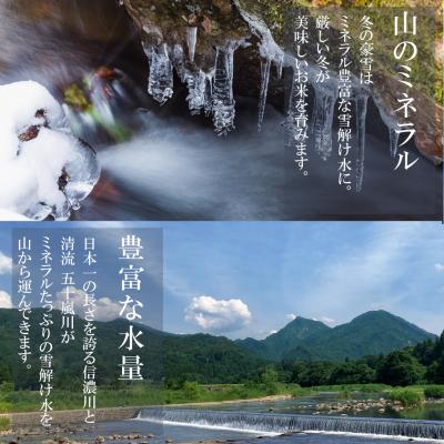 ふるさと納税 三条市 令和7年産米 新潟県三条市産 コシヒカリ 三条米 10kg【016S035】 |  | 02