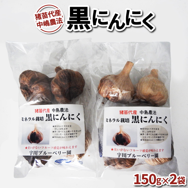 [2025年先行予約］黒にんにく 300g ミネラル栽培 中嶋農法 稲苗代町産 自家製栽培 稲苗代 福島 ※2025年9月中旬頃より順次発送予定
