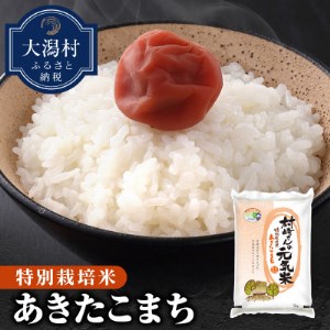 【玄米】大潟村産あきたこまち特別栽培米5.5kg 【令和6年産】【配送不可地域：離島・沖縄県】【1353948】