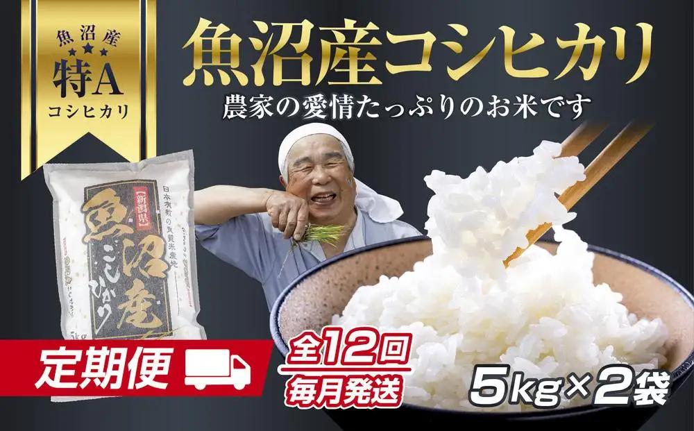 DH14 【定期便】 新潟県 魚沼産 コシヒカリ お米  10kg×計12回 精米済み 1年間 毎月発送 こしひかり（お米の美味しい炊き方ガイド付き）