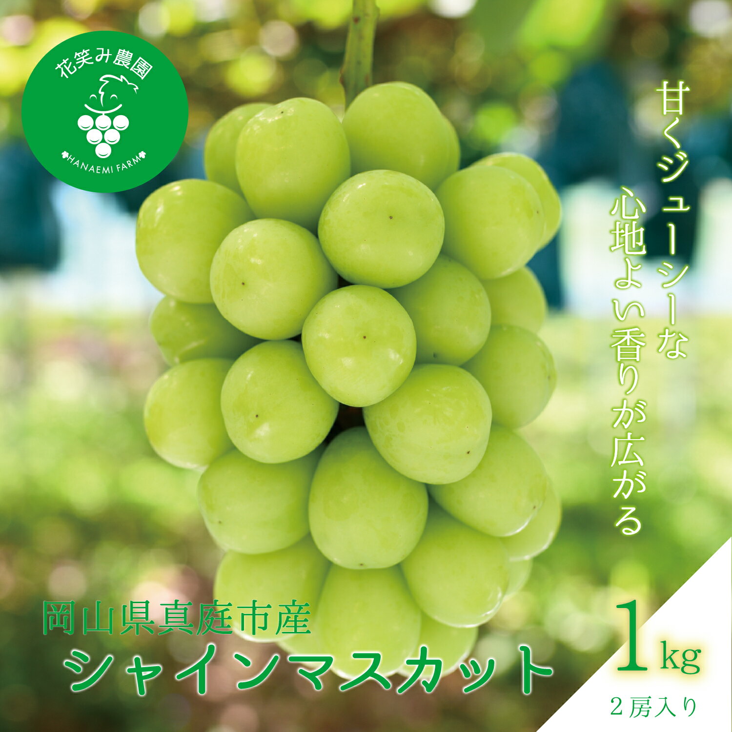 【ふるさと納税】 ぶどう 岡山 花笑み農園 『シャインマスカット』1kg(2房) S-1 hana15 2025年9月下旬～受付順に発送予定 贈答用 岡山 真庭市 シャインマスカット 高級 1kg 贈答 2025 大粒 葡萄 ブドウ 果物 フルーツ 人気 数量限定【1144368】