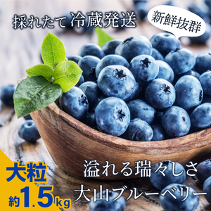 MS-34　新鮮生ブルーベリー1.5㎏（6月採れ）