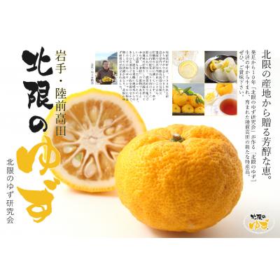 ふるさと納税 陸前高田市 【期間限定】北限のゆず(黄玉)約1kg 【 柚子 ユズ 旬 果物 料理 産地直送 岩手 陸前高田 】