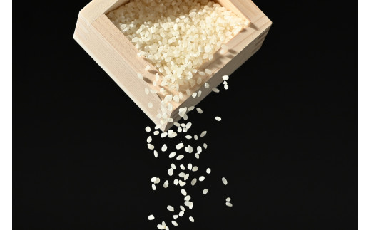 那須町産コシヒカリ 10kg×2袋〔P-275〕