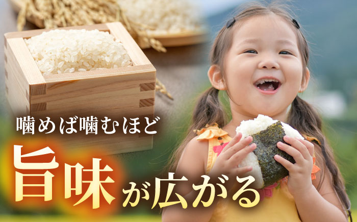 【農家直送！】しろいしもりのお米 ひのひかり 5kg【Sunrise328】 [ICD011]