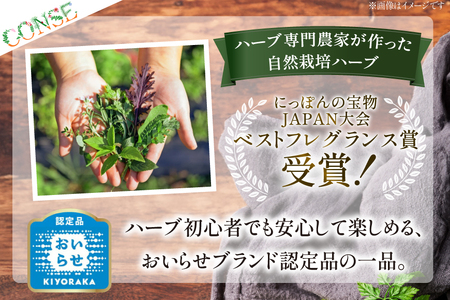 青森 CONSE ハーブティー 飲み比べセット（ハーブティー５種類） 【ふるさと納税 人気 おすすめ ランキング ハーブ ハーブティ アップルティ レモンハーブ ミント ブランド 認定品 青森県 おい