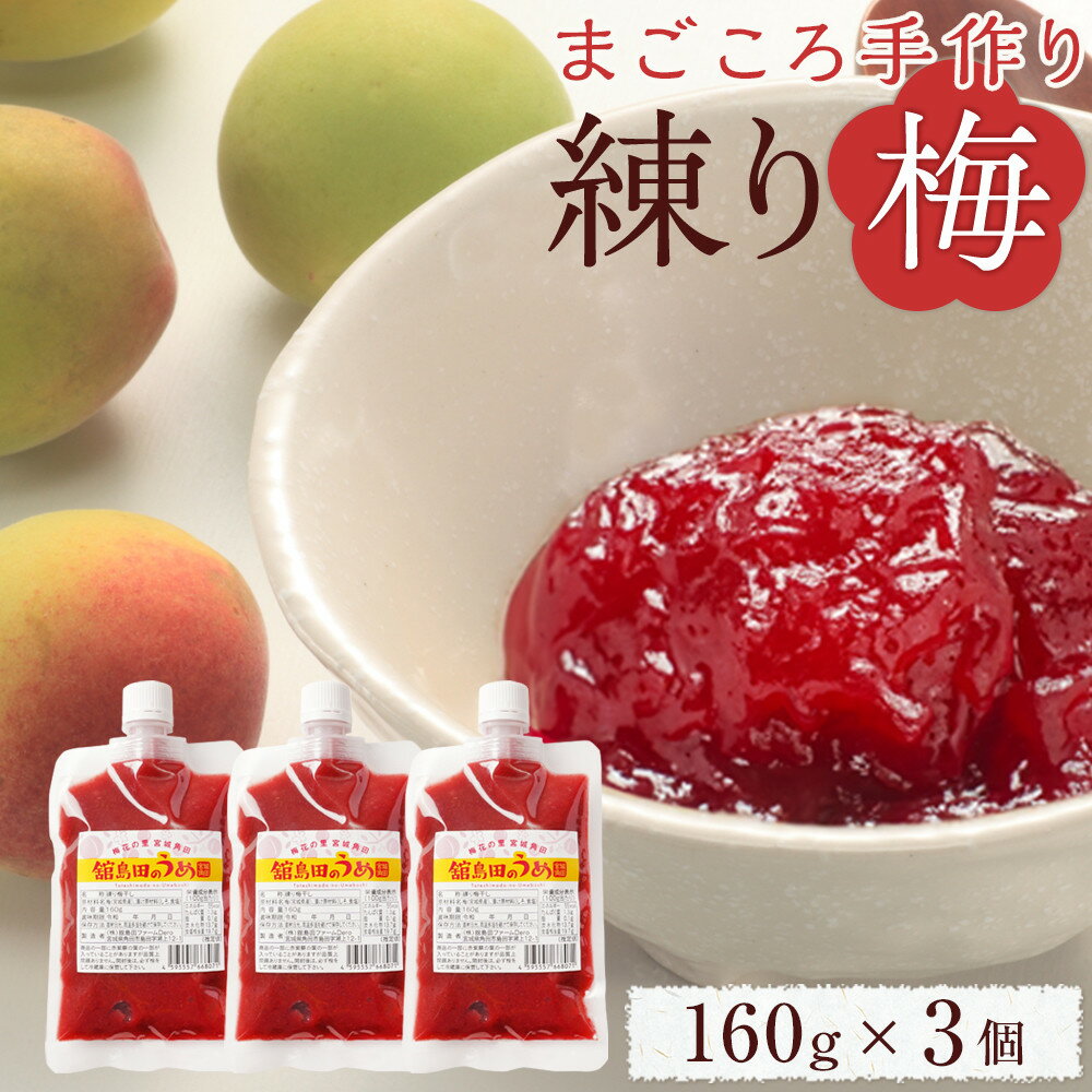 【ふるさと納税】無添加 練り梅 160g × 3個 | 手作り 梅干 梅干し うめぼし うめ干し 塩分 15% 〜 18% すっぱい 熱中症対策 お試し お取り寄せ 国産 人気 おすすめ 宮城