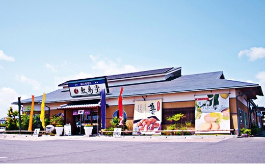敷島堂　お菓子券　4,500相当分（500円券×9枚）
