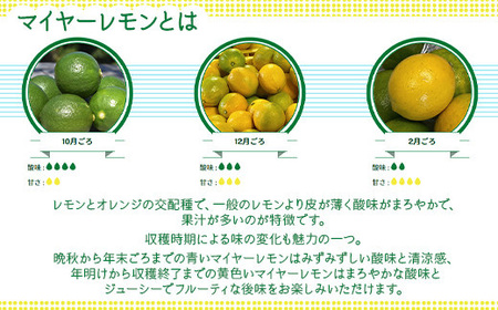 そのまんまのマイヤーレモン 果汁 100% 900ml 2本 無添加 岩国産 瀬戸内【神東ファーム】