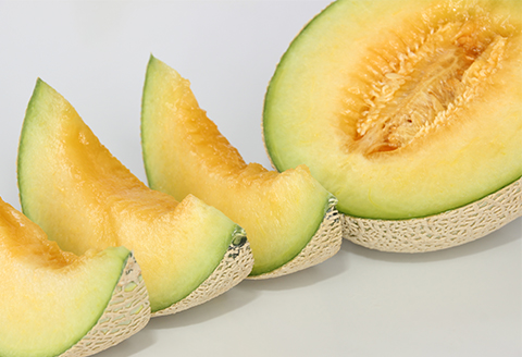 メロンパークのメロン【2024年9月発送・2Lサイズ1玉】