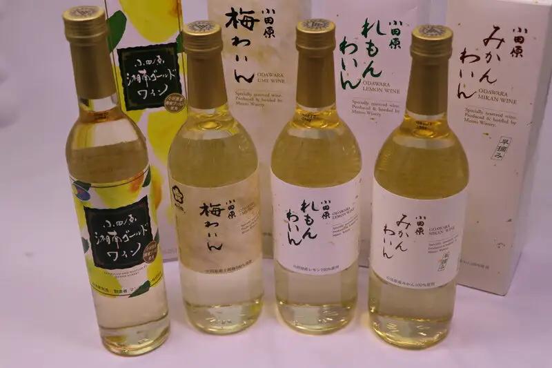 城下町小田原の飲み比べわいんDセット（4本セット)【ワイン】